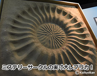 jisuunndairepurika