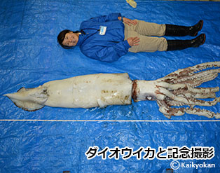 kinennsatuei