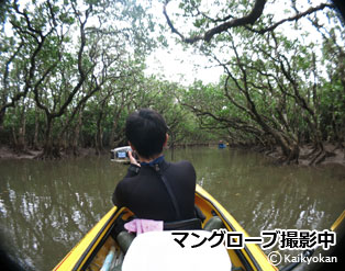 manguro-bu
