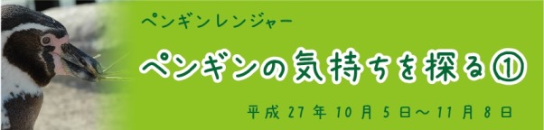 2015-10-penguinranger-banner