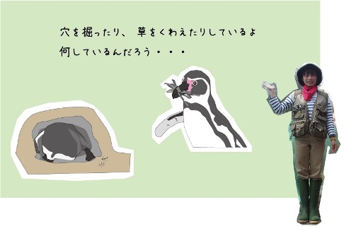 2015-10-penguinranger