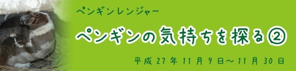 2015-11-penguinranger-banner