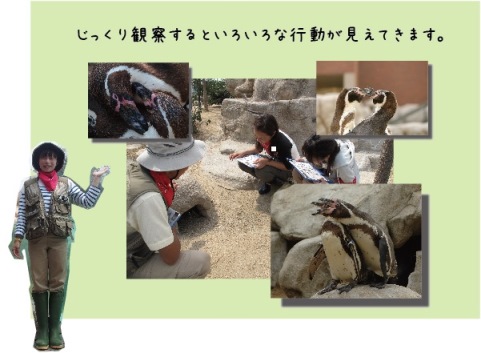 2015-11-penguinranger