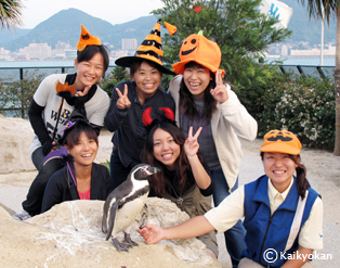 26penguinhiposerogo