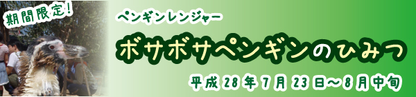 penguinranger2016summer-title