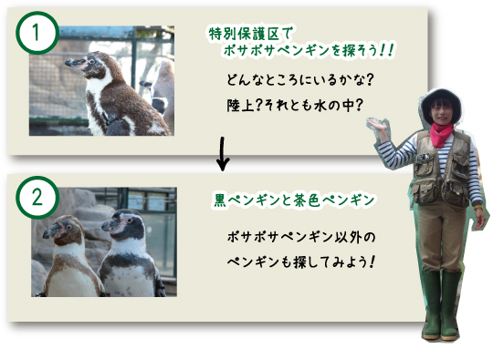 penguinranger2016summer