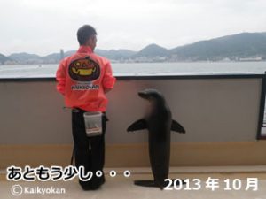 201310nadeshiko