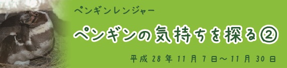 ranger2016-11-1