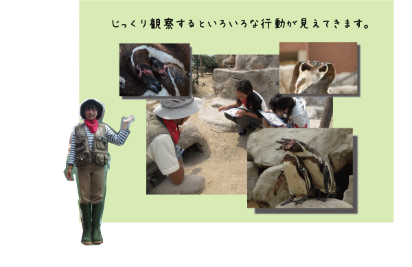 ranger2016-11-2