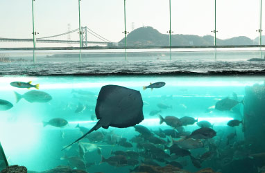 関門海峡潮流水槽