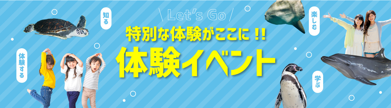 特別な体験がここに体験イベント