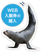 WEB入館券の購入