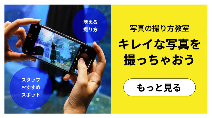 写真の撮り方教室 きれいな写真を撮っちゃお