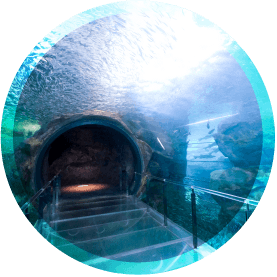 海中トンネル