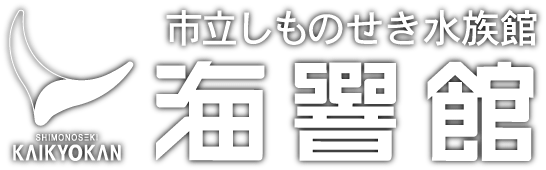 海響館 山口県下関 水族館