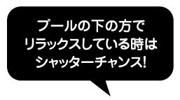 プールの下の方でリラックスしている時はシャッターチャンス！