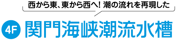 4F 関門海峡潮流水槽