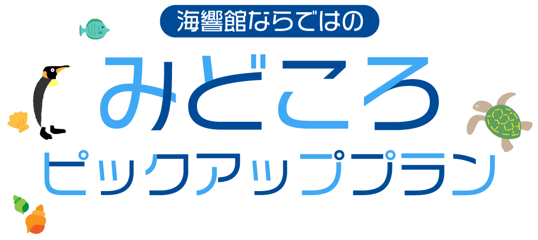 海響館ならではの みどころ ピックアッププラン