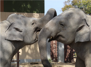 周南市徳山動物園