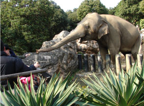 到津の森公園