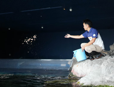 魚類展示業務風景2