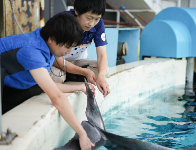 動物健康管理室業務風景2